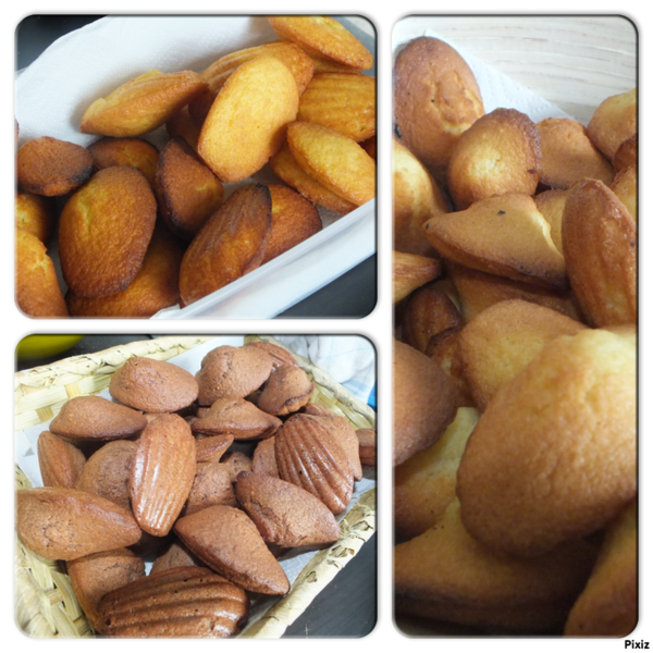 madeleines